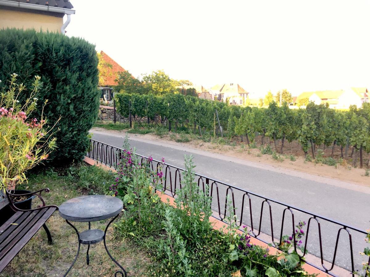 Ferienwohnung Suedpfalzblick Burrweiler Dış mekan fotoğraf